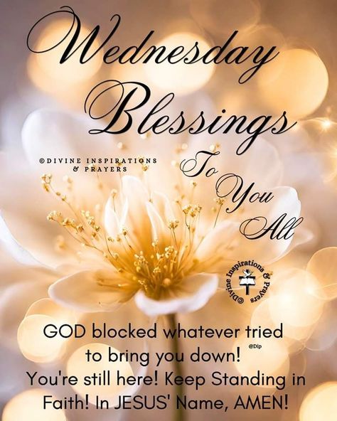 Bless Wednesday, Good Morning Prayer Quotes, Peace Scripture, Blessed Wednesday, Good Morning Tuesday, Monday Blessings, Wednesday Quotes, Morning Prayer Quotes, Good Morning Prayer