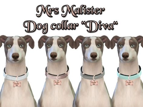 Sims 4 Dog Collar, Sims 4 Pet Cc Clothes, Sims 4 Dog, Sims 4 Pets Mod, Sims Pets, Dogs Accessories, Sims Baby, Sims 4 Mm Cc, Sims 4 Cc Skin