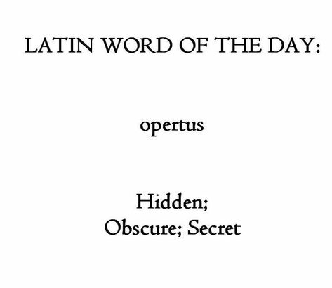 Learn Latin, Latin Quotes, Latin Language, Latin Phrases, Latin Word, Word Nerd, History Education, Unusual Words, Rare Words