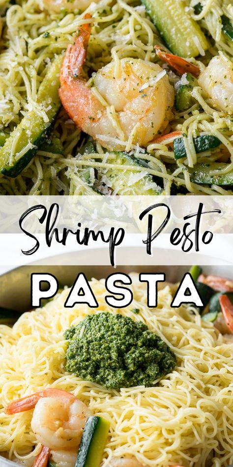 SO EASY! This Shrimp Pesto Pasta is my new favorite easy dinner recipe! Shrimp Pesto Pasta Recipes Easy, Shrimp Pesto Pasta, Pesto Shrimp, Homemade Pesto Sauce, Garlic Shrimp Pasta, Pesto Pasta Recipes, Shrimp Seasoning, Pesto Chicken Pasta, Garlic Pasta