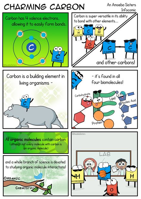 Carbon is in all four of the major biomolecules! Find this and more of our science comics on our site! Amoeba Sisters, Biology Jokes, Element Chemistry, Science Cells, Science Comics, Chemistry Education, Korean Words Learning, Chemical Structure, Science Videos