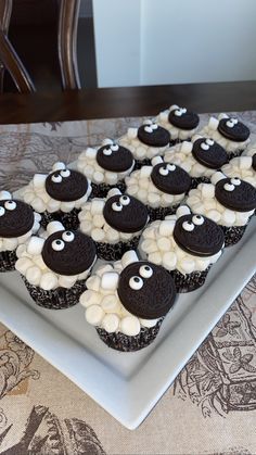 Sheep Cupcakes Marshmallow, Easy Sheep Cupcakes, Desserts To Decorate, Easy Cupcake Decorating Ideas For Kids, Sheep Desserts, Cupcakes With Eyes, Baking Activities For Kids, Eid Al Adha Decorations, Eid Desserts