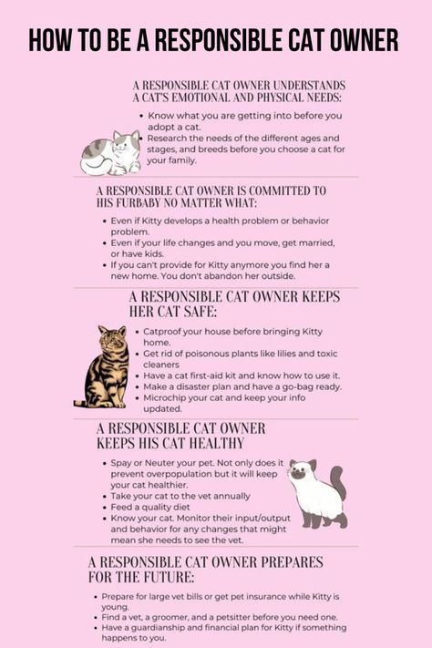 Cats Care Tips, Take Care Of Cat, Where To Pet Cats, Cat Health Tips, Cat Care Tips Kittens, Tips For Cat Owners, First Time Cat Owner Checklist, Kitten Proofing Home, How To Take Care Of A Kitten