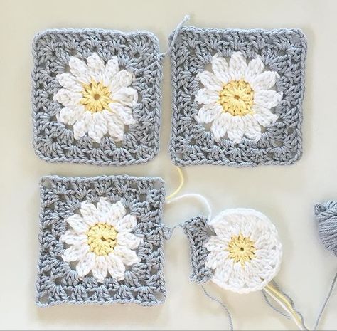 Pretty daisy squares Daisy Squares Crochet, Daisy Flower Granny Square Pattern, Granny Square Daisy Crochet Pattern, Daisy Square Crochet Pattern, Pretty Granny Squares, Daisy Crochet Granny Square, Daisy Square Crochet, Crochet Daisy Square, Crochet Daisy Blanket