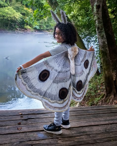 Moth Costume Diy, Wings Costume Diy, Moth Costume, Creative Halloween Costumes Diy, Bug Costume, Diy Wings, Butterfly Costume, Moth Wings, Homemade Halloween Costumes