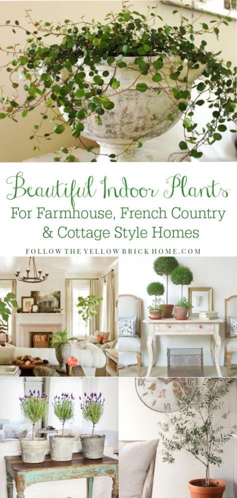 The best indoor plants for farmhouse, French country and cottage style homes Farmhouse house plants French Country House plants Wall Garden Indoor, Homes Farmhouse, Indoor House Plants, Farmhouse French Country, Country Cottage Style, Cottage Style Homes, French Country Farmhouse, Best Indoor Plants, Bedroom Decorating Ideas