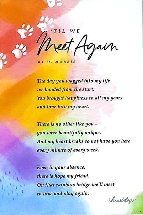 Dog Memorial Quotes, Losing A Pet Quotes, Dog Heaven Quotes, Stone Quotes, Miss My Dog, Dog Poems, Heaven Quotes, Dog Heaven, Pet Remembrance