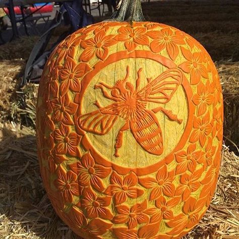 Hashtag Pumpkin Goals! This will get you in the festive mood! #Repost @savethebeesaustralia with @repostapp ・・・ @katherineplumer #pumkin #pollination #bees #sculpture #fineart #savethebees #beethecure (scheduled via http://www.tailwindapp.com?utm_source=pinterest&utm_medium=twpin&utm_content=post108449597&utm_campaign=scheduler_attribution) Bee Pumpkin Carving, Bee Pumpkin, Pumkin Carving, Pumpkin Carving Designs, Pumpkin Carving Ideas, I Love Bees, Carved Pumpkin, Pumpkin Stencil, Bee Inspired