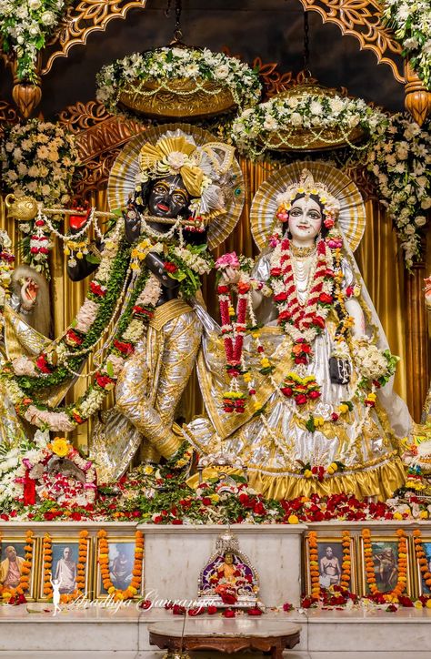 Radha Krishna Mayapur Wallpaper, Radha Krishna Mayapur, Radha Krishna Pictures Full Hd, Radha Krishna Full Screen Hd Wallpaper, Iskcon Krishna Wallpapers Hd, Iscon Temple Radha Krishna, Mayapur Radha Krishna, Radha Krishna Wallpaper Full Hd 4k, Iskcon Krishna