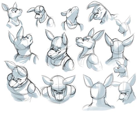 Nestle Alternate Angles by Temiree.deviantart.com on @DeviantArt #anthro #anthropomorphic #character #design #digital #expression #expressions #face #faces #kangaroo #nestle #roo #shaded #sheet #sketch #digitalmarker #art Angles Drawing, Kangaroo Drawing, Practicing Drawing, Alternate Angles, Anna Cattish, Head Angles, Character Design Cartoon, Practice Drawing, Animal Illustration Art