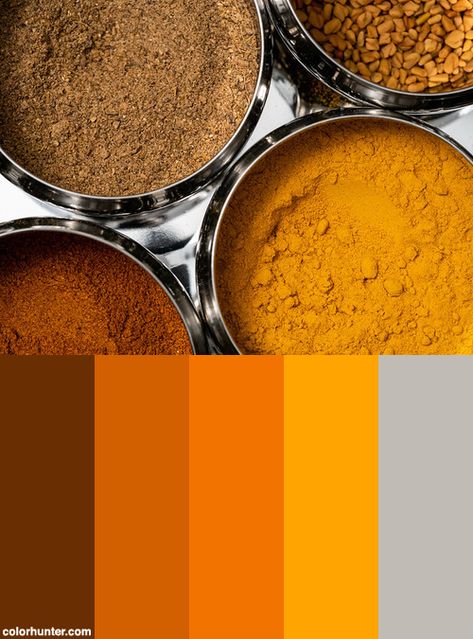 Indian Spices Color Scheme from colorhunter.com India Color Palettes, Indian Colors Palette, Traditional Indian Colour Palette, Spices Color Palette, Indian Mood Board, India Color Palette, Indian Colour Palette, Indian Color Palette, Indian Branding