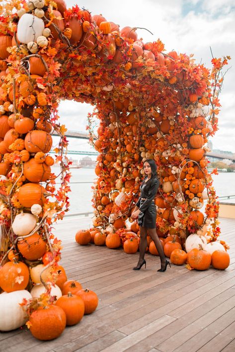 Instagrammable Nyc, Fall Store Displays, Fall Photography Ideas, Pumpkin Arch, Fall Poses, Fall Photo Ideas, Fall Festival Decorations, Fall Nyc, Pumpkin Patch Photoshoot