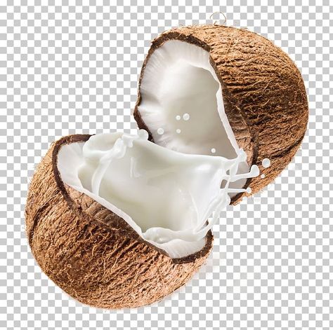 Coconut Packaging, Coconut Icon, Coconut Illustration, Coconut Images, Milk Png, Open A Coconut, Water Png, Paint Png, Coconut Fruit