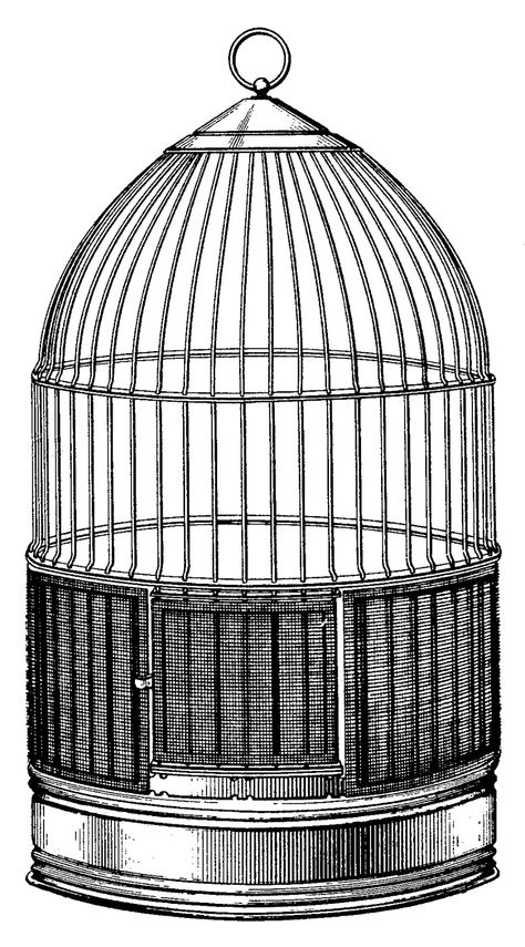 Bird Cage Drawing, Cage Drawing, Vintage Birdcage, Steampunk Bird, Space Helmet, All Crafts, Bird Cage Decor, Vintage Bird Cage, Victorian Scrap