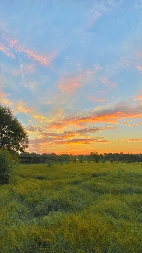 Prettiest Sunset, Couple Cuddling, Pictures Background, Cloud Background, Sunrise Pictures, Sunset Background, Look At The Sky, Pretty Landscapes, Sunset Nature