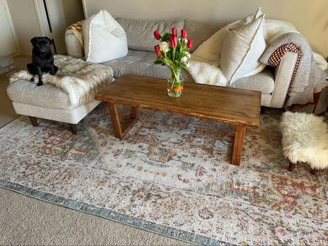 A dog sitting on an ottoman on a rug on top of carpet Rug On Top Of Carpet, Apartment Carpet, Rug Over Carpet, Eclectic Style Decor, Artsy Style, Layered Rugs, Rugs Usa, Small Area Rugs, Living Room Makeover