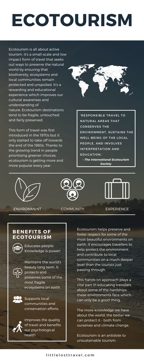 Check out this infographic that explains what ecotourism is and why it's important. #ecotourism #travel #sustainabletravel #responsibletravel Green Choices, Cultural Awareness, Sustainable Tourism, Sustainable Travel, Cultural Experience, You Are The World, Adventure Tours, The Environment, Travel Advice