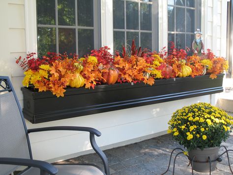 San and Cheryl Turnbull | Supreme Window Box with Fall Color… | Flickr Window Garden Ideas, Winter Window Boxes, Fall Window Boxes, Fall Windows, Summer Window, Window Box Flowers, Winter Window, Autumn Design, Window Planter Boxes