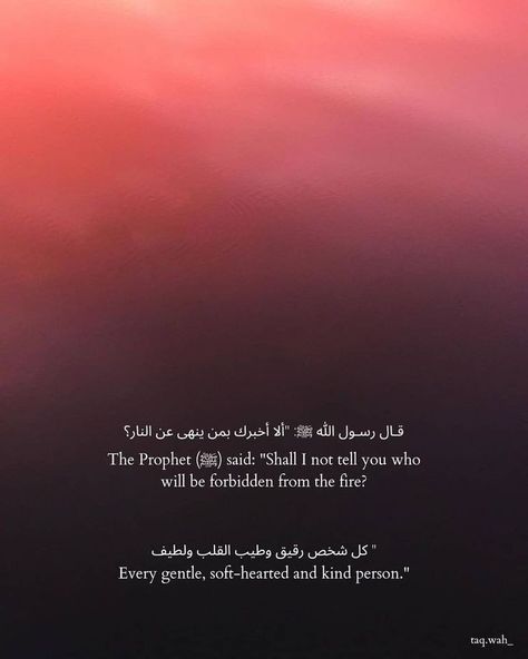 Kind kindness quotes Quotes Allah, Islamic Relief, Prophet Quotes, Prophet Muhammad Quotes, Beautiful Reminders, Short Islamic Quotes, Best Quran Quotes, Soothing Quotes, Muhammad Quotes