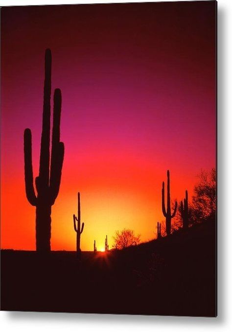 Desert Painting, Desert Sunset, Sunset Painting, The Desert, Summer Season, Golden Hour, Sunset Photography, Drinking Water, Art Sur Toile