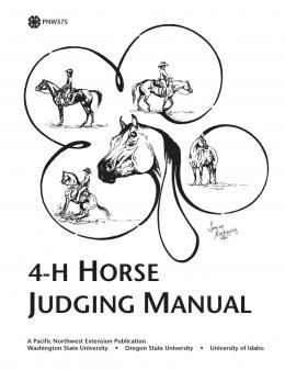 Horse Judging, Halter Horse, Livestock Judging, Horse Business, Saddle Club, 4h Ideas, Different Horse Breeds, Diy Horse Barn, Horse Lessons