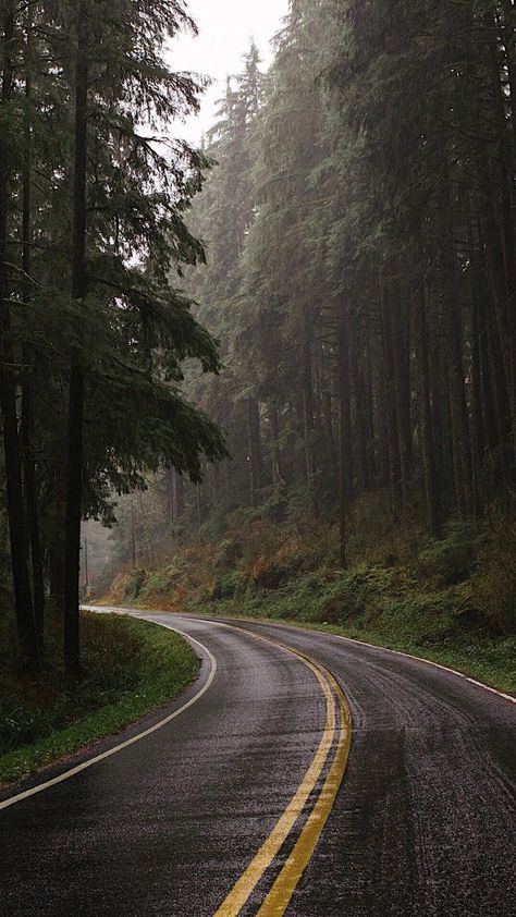 Muka Lelaki, Dark Naturalism, Dark Forest Aesthetic, Rainy Day Aesthetic, Belle Nature, Image Nature, Dark Nature Aesthetic, Buku Skrap, Landscape Photography Nature