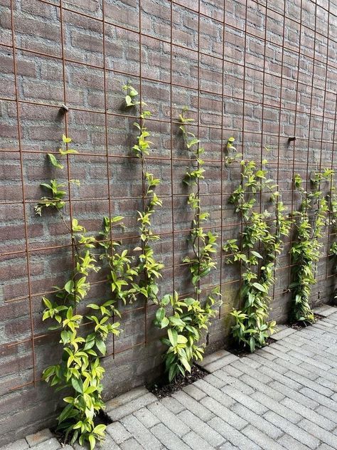 Contemporary Fence Design, Contemporary Fence, Wall Climbing Plants, Ideas For Projects, Fence Design Ideas, Artificial Green Wall, Vertical Garden Design, Fence Designs, Green Facade