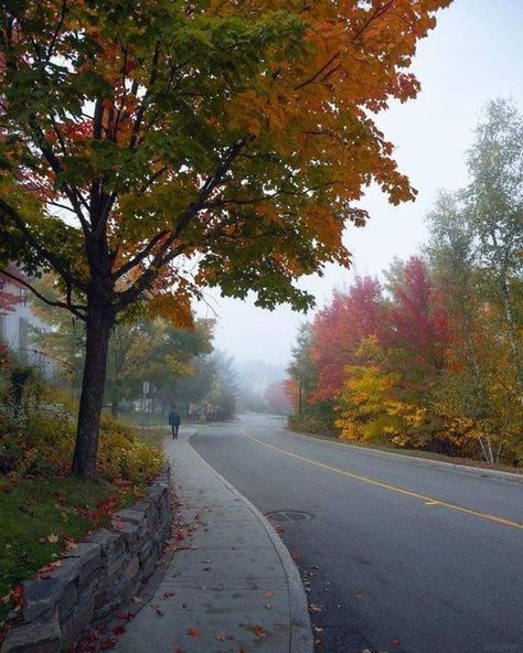 Spring Landscapes, Mont Tremblant, Winter Blanket, Mecca Islam, Autumn Foliage, Winter Blankets, Spring Landscape, Quebec Canada, Mecca