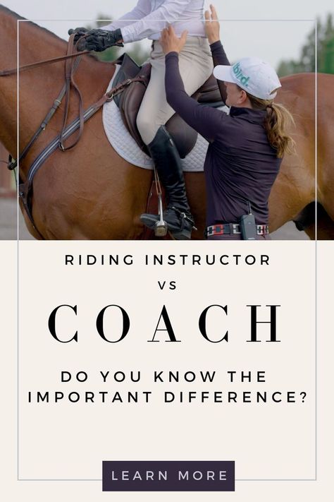 Do you know the important difference? If you're looking at improving your horseback riding, taking it to the next level and potentially looking to buy your first horse, you may need to start thinking about finding a professional riding coach. Read about the big difference between your riding instructor vs a coach and what you need to know. Save this pin for later📌 Click to read the blog 🔗 Riding Instructor, First Horse, Horseback Riding Lessons, It Takes A Village, Takes A Village, Riding Lessons, Hunter Jumper, Important People, Horse Girl