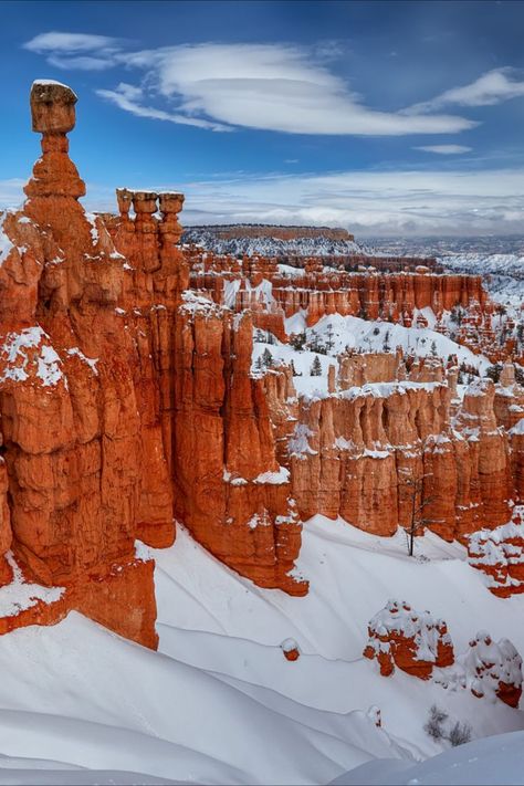 Snow In Desert, Grand Canyon Snow, Grand Canyon Winter, Expensive Travel, Snow Desert, Desert Snow, Arizona Winter, Desert Canyon, Winter Deserts