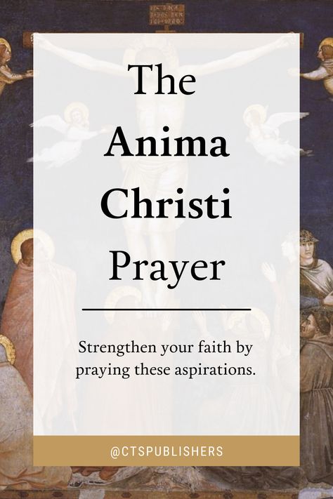 This traditional Catholic prayer features aspirations that we can pray to God for in order to strengthen our faith. The prayer is thought to date back to the early fourteenth century. St Francis Prayer For Sick Animals, Anima Christi Prayer, Morning Offering Prayer Catholic, St Francis Of Assisi Prayer, Anima Christi, Anima Christi Prayer Catholic, Pray To God, Eucharistic Adoration, Ask God