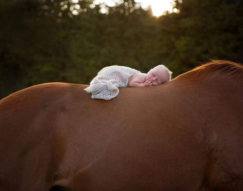 Horse Newborn Photography, Country Maternity Photos, Country Maternity, Pictures With Horses, Dream Future, Photo Shop, Baby 2, Baby Walker, Newborn Pictures