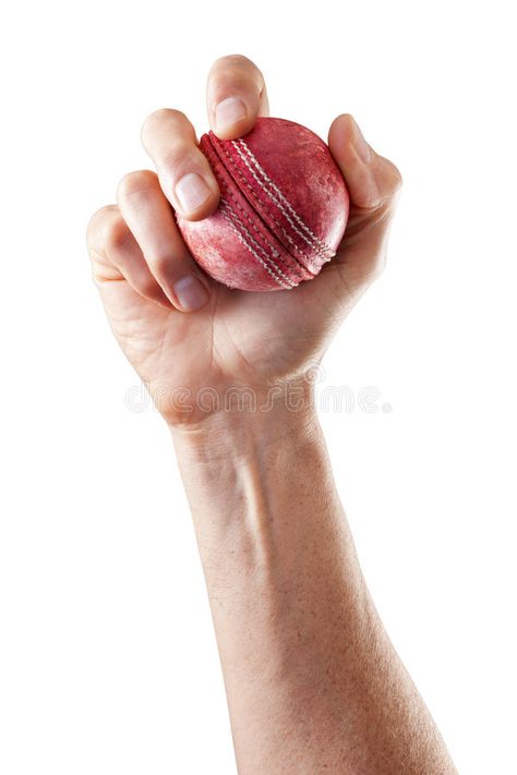 Cricket Ball Sports Hand. A hand holding a cricket ball isolated on white , #AFF, #Hand, #hand, #Sports, #Cricket, #Ball #ad Hand Holding Ball Reference Drawing, Hand Holding Ball Reference, Holding Ball Reference, Hand Holding Orb, Michael Holding Cricket, Hand Holding Ball, Cricket Bat And Ball Drawing, Cricket Bat Ball, Hand References