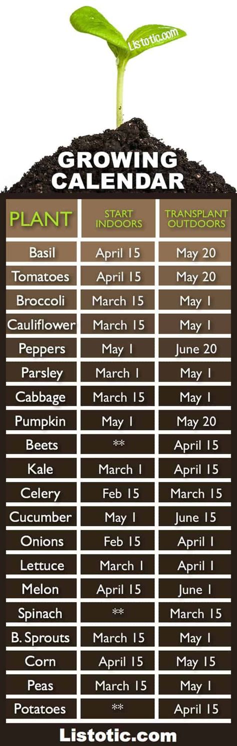 Plantarea Legumelor, Growing Calendar, When To Plant, نباتات منزلية, Garden Growing, Aquaponics System, Garden Types, Veg Garden, Have Inspiration