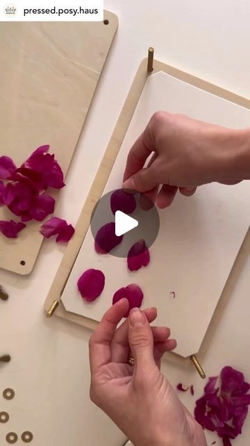 💐Flower Press Tips🌷by Berstuk on Instagram: "Pressing time! 🌸❤️💕  Watch til the end to see an amazing craft! 🥰  Get this travel press now!  ———————————————————————————  #flowerpress #flowerpressing #flowerpressed #flowerpressings #flowerpressingart #flowerpressingtips #flowerpressart #flowerpresstips #flowerpresskit #flowerpressproject #flowerpressedart #flowerpressingkit #flowerpresser #flowerpresses #flowerpressersofinstagram #flowerpressingproject #berstuk #pressedflower #pressedflowerart #pressedflowerartist #pressedflowercraft #pressedflowersuk #pressingflowers #pressingflowersandleaves" Diy Pressing Flowers, Flower Press Frame, Press Flowers Diy, Diy Flower Press, Diy Flower Press How To Make, Wedding Flower Press, How To Press Flowers, Wax Paper Flower Press, Microfleur Flower Press