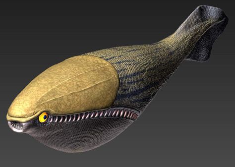 Arandaspis was a genus of Ordovician jawless fish, the first known vertebrates. Ancient Sea Creatures, Tully Monster, Permian Period Animals, Prehistoric Fish, Cambrian Period Animals, 2023 Tattoo, Christmas Extravaganza, Ordovician Animals, Dinosaur Speculative Evolution