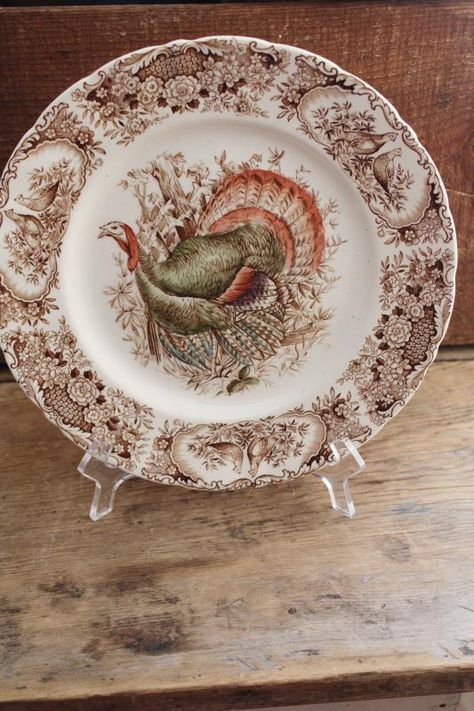 Native American Pattern, Turkey Plates, Thanksgiving Plates, Native American Patterns, American Pattern, Turkey Thanksgiving, Turkey Dinner, Wild Turkey, Johnson Bros