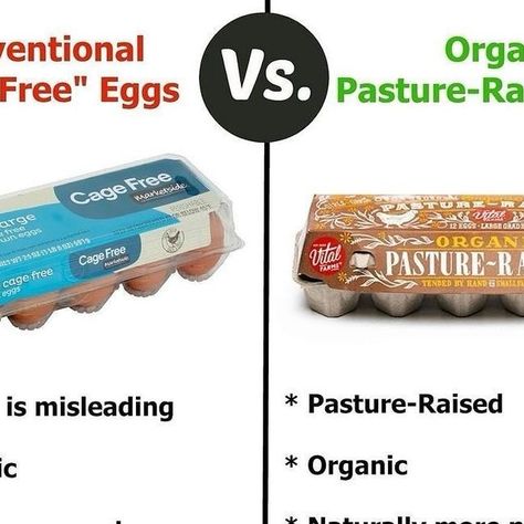 Vani Hari | Food Babe on Instagram: "Did you see my post on chicken labels yesterday? It’s nearly the same when you buy eggs!  The term “Cage-Free” is bogus! Cage free chickens may not be in “cages” but they are crowded in warehouses and typically have no access to the outdoors. They are fed an unnatural diet of cheap GMO corn and soy.  ✅ Instead, look for pasture-raised organic eggs, preferably from your local farmers. In stores, also look for the Certified Humane label.  Pastured eggs come from hens that forage naturally on a pasture, eating a natural diet of grass, bugs, worms.  This produces more nutritious eggs with up to twice as much vitamin E and omega-3 fatty acids, and a healthier ratio of omega-6 to omega-3 fatty acids!  Please share to spread the truth about eggs!" The Best Eggs, Vani Hari, Best Eggs, Gmo Corn, Egg Packaging, Pasture Raised Eggs, Cage Free Eggs, Organic Eggs, Natural Diet