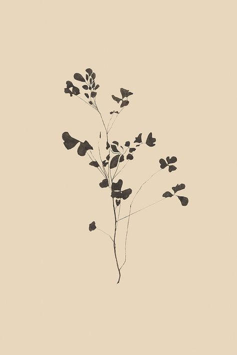 Botanical Art Flowers, Black And White Clip Art Vintage, Botanical Screen Print, Simple Print Making Designs, Simple Plant Drawing, Vintage Botanical Tattoo, Simple Flower Drawings, Botanical Outline, Juniper Print Shop