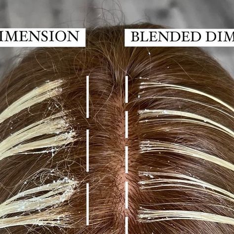 CHRISSY DANIELLE LOTENERO on Instagram: "ANOTHER TOP POST OF 2023‼️ BOLD DIMENSION vs BLENDED DIMENSION‼️👇🏼 (swipe for another visual of the finished results!) 👉🏼 BOLD TEASY LIGHTS - when you want to create maximum depth and dimension, go in with a thick weaved teasy light, this will create a ribbon effect throughout the hair, and remember what you don’t lighten is just as important as what you do! 👉🏼 BLENDED BABY LIGHTS - these will always give you a soft blend, a lighter overall appearance, and a seamless finished result with minimal dimension, a great option for your clients with lighter natural levels ⚠️ PRO TIP: I recommended color melting BOTH TECHNIQUES for a seamless blend, the first photo is meant to show you what the raw lift should look like when you pull out your foils. T Baby Lights Highlights, Hair Weaving Techniques, Teasy Lights, Hair Dye Techniques, Hair Color Placement, Highlight Tutorial, Hair Foils, Baby Lights, Undercut Long Hair