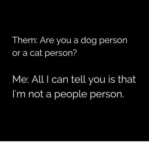 I'm not a people person Hate People, Morning Humor, Cat Person, Sarcastic Quotes, Bones Funny, Dog Person, The Words, A Cat, A Dog