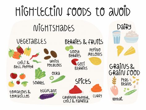 Low Lectin Foods, Gut Foods, Lectin Free Foods, Plant Paradox Diet, Nightshade Vegetables, Lectin Free Diet, Genetically Modified Food, Plant Paradox, American Diet