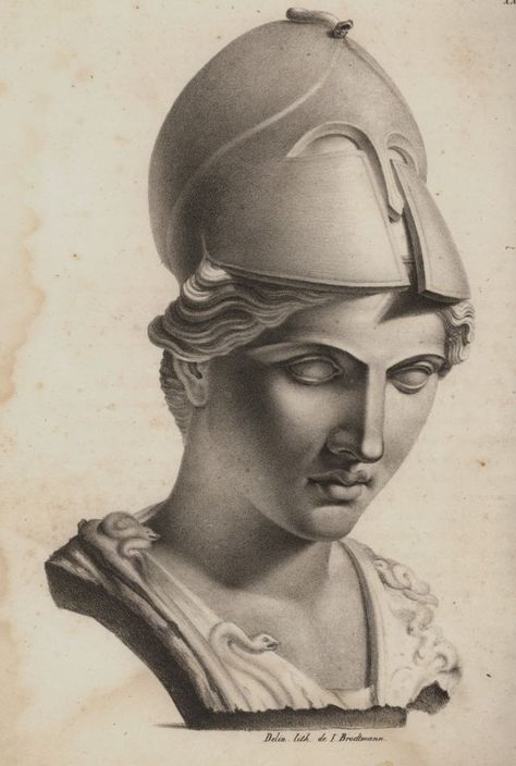 Bust of Athena Pallas from Villa Albani, Rome. - HORNER, Johann Jakob - TRAVELLERS' VIEWS - Places – Monuments – People Southeastern Europe – Eastern Mediterranean – Greece – Asia Minor – Southern Italy, 15th -20th century Roman Statue Drawing, Bust Of Athena, Bust Of Pallas, Athena Bust, Statue Drawing, Pallas Athena, Motifs Art Nouveau, Gothic Statue, Ancient Greek Sculpture