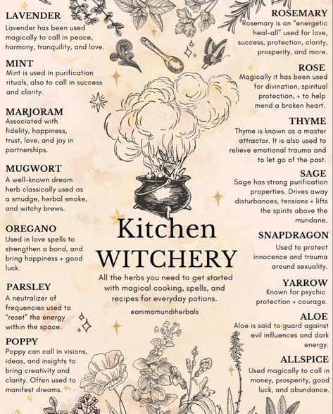 Herbalism For Beginners, Magickal Herbs, Witch Herbs, Medical Herbs, Witch Spirituality, Magic Herbs, Kitchen Witchery, Magical Herbs, Wiccan Spell Book