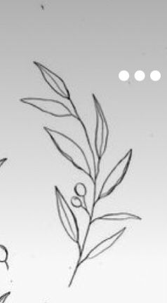 Olive Branch Tattoo Collar Bone, Olive Branch Tattoo, Fineline Tattoo, Branch Tattoo, Tattoo Outline, Olive Leaf, Olive Branch, Athens, Sleeve Tattoos