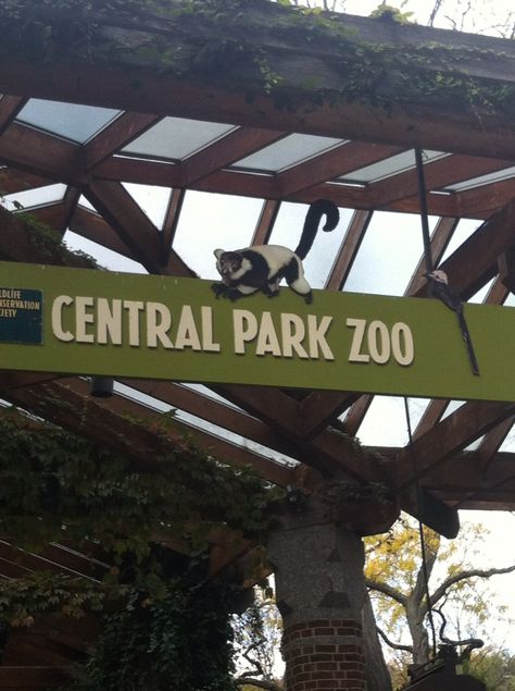 Nyc Childhood, New York Zoo, Edward Albee, Central Park Zoo, Holidays In New York, Summer List, Zoo Keeper, York Travel, Inspo Board