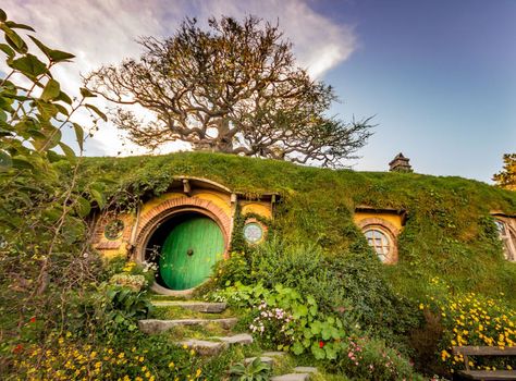 50-bucket-list-travel-destinations Bag End, Casa Hobbit, Bilbo Baggins, Hobbit Hole, Movie Set, House Front Door, Hobbit House, Rotorua, The Shire