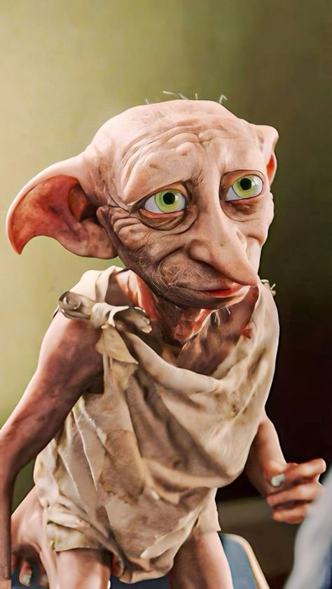 Dobby Harry Potter Aesthetic, Dobby Pumpkin, Dobby Is A Free Elf, Magical Creatures Harry Potter, Potter Nails, Harry Potter Dobby, Harry Potter Journal, October Aesthetic, Harry Potter Nails