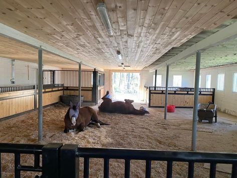 Horse Shelter With Stalls, Stables Aesthetic, Small Horse Barn Ideas Layout, Horse Stall Ideas, Equestrian School, Barn Organization, Dream Barn Stables, Horse Tack Rooms, Livestock Barn