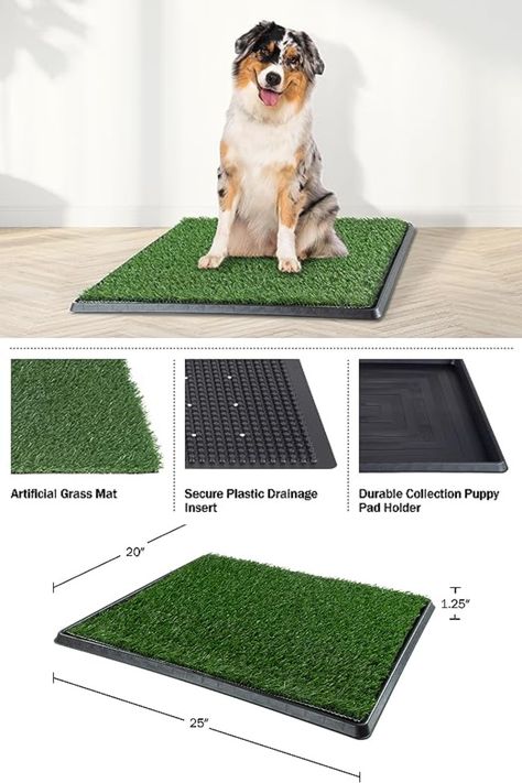 This artificial turf dog pee pad provides a sanitary place for your pet to relieve themselves inside or on your balcony or patio. It’s a reusable alternative to disposable dog training pads for small to medium-sized pets. Cleaning this reusable grass pad for dogs is quick and easy. Rinse the three layers of the dog potty tray with soapy water and clean-up is complete. Dog Litter Box, Pet Turf, Dog Pee Pads, Potty Pads, Dog Potty, Dog Pee, 2024 Design, Artificial Turf, Artificial Grass